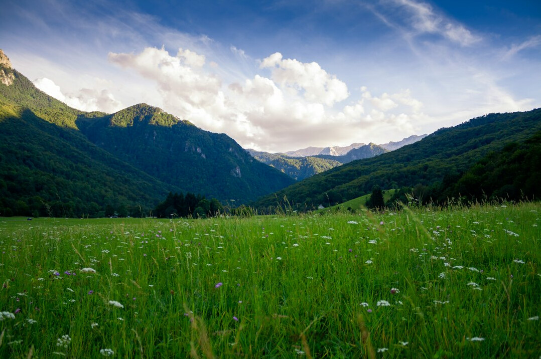 Sunlit green landscape with mountains and clouds