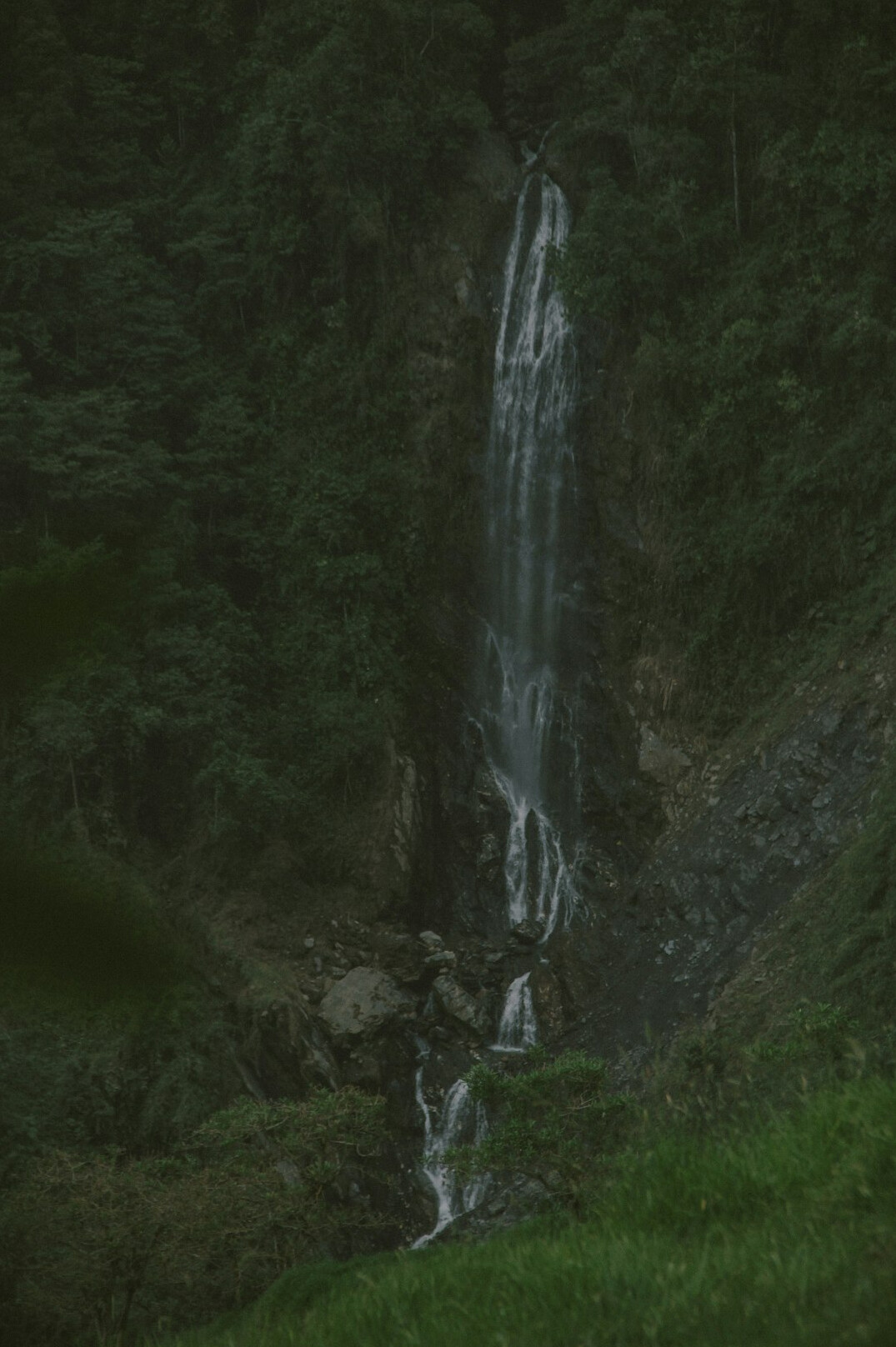 Waterfall flowing through green forest