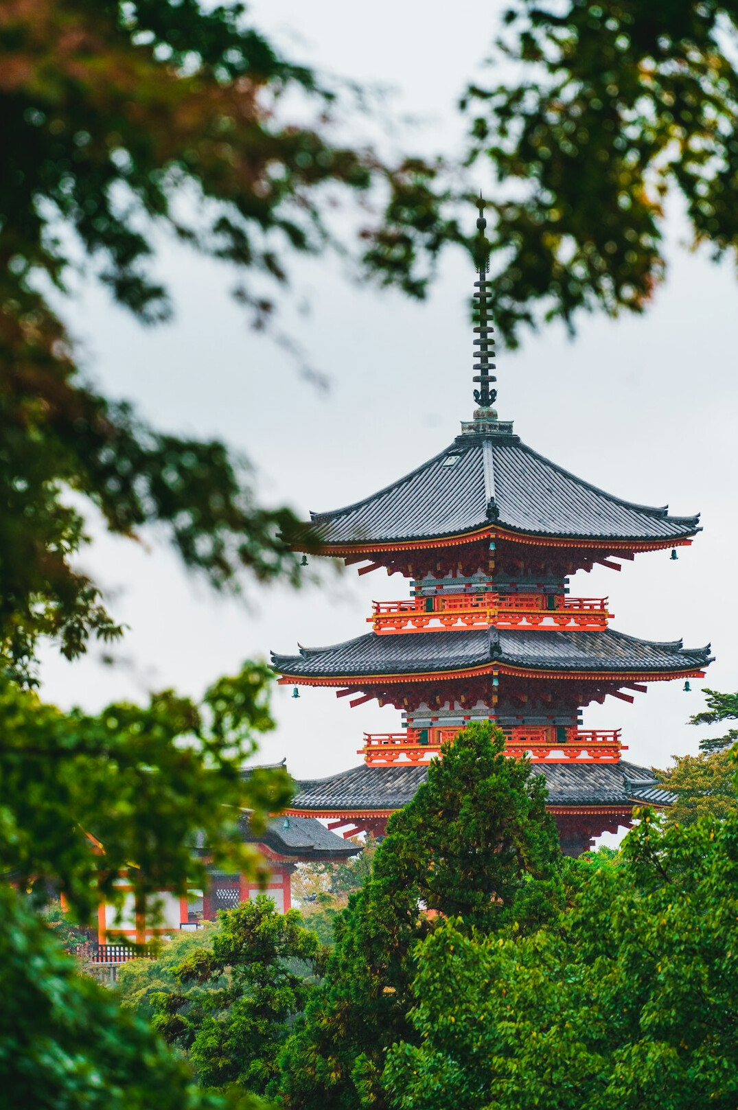 Japanese pagoda with autumn trees in Kyoto