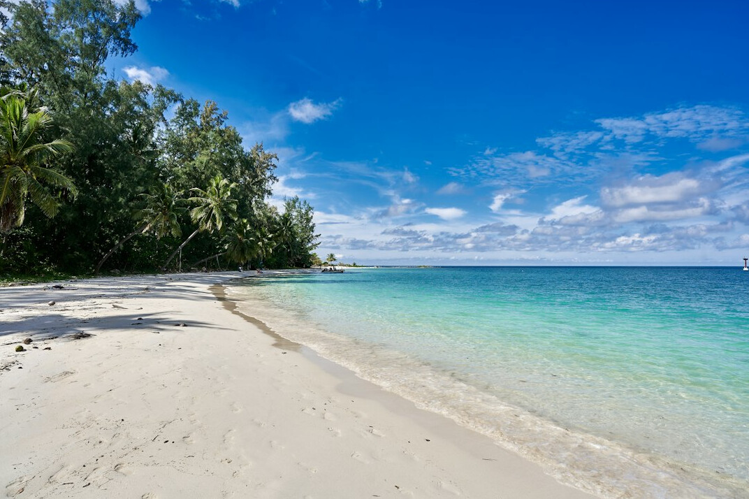 Tropical beach with turquoise water and palm trees