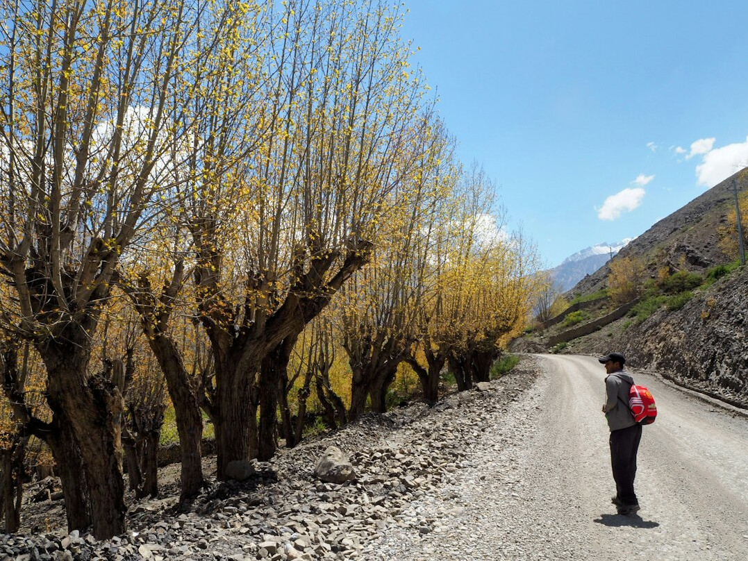 hiker with backpack on trail