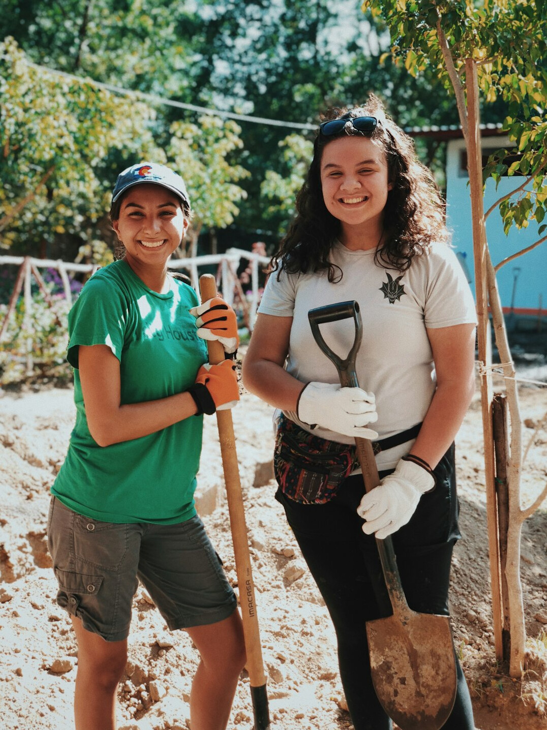 volunteers planting trees