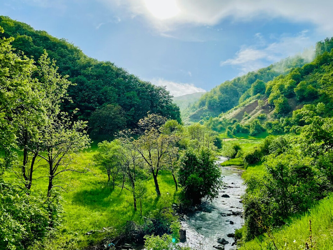 Green valley with river and mountains