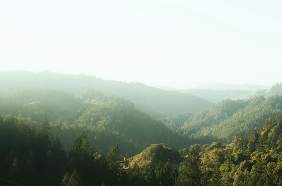 Misty green forest hills at dawn